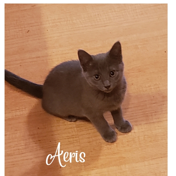 Meet your Posher, Angela - Picture 8 of 16